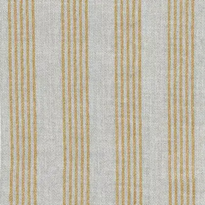 Arlyn Canola