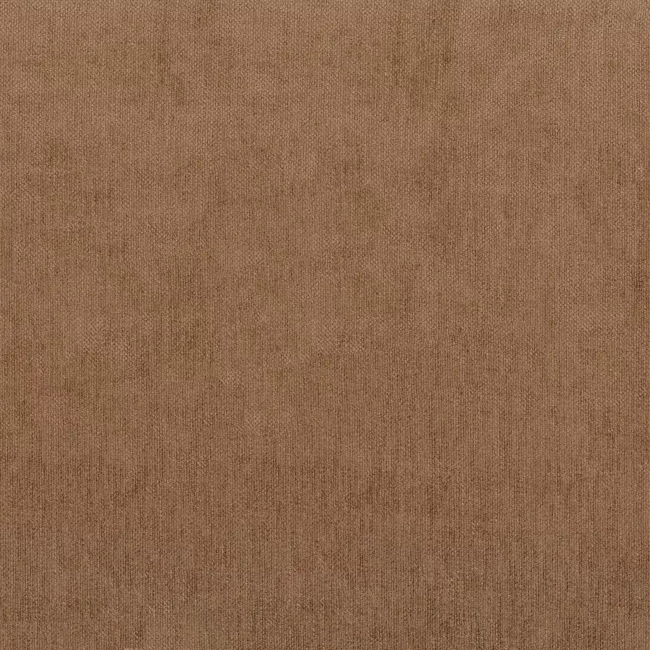 Caspian Nutmeg