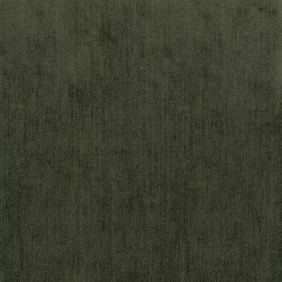 Caspian Olive