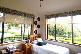 Romans with sunscreen roller blinds