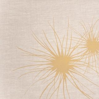 Spinifex Putty