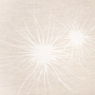 Spinifex Sea Mist