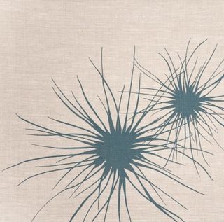 Spinifex Seascape