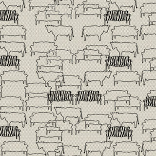 Cows and Couches Oyster