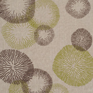 Rings Upholstery Alice Springs Grass