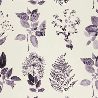 Jindai Heather