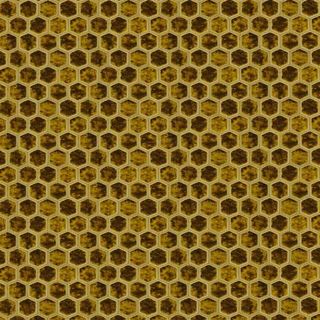 Manipur Ochre