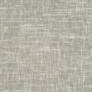 Beech Celadon