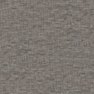 Kyoto Ash