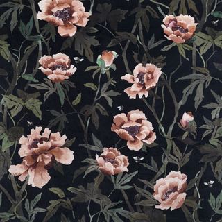 Peonia Velvet Midnight