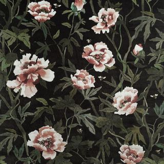 Peonia Velvet Moss