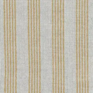 Arlyn Canola