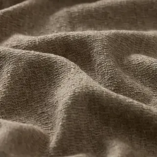 Pirro Fossil
