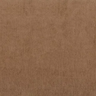 Caspian Nutmeg