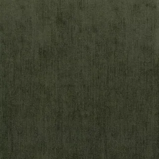 Caspian Olive
