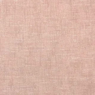 Rio Coral