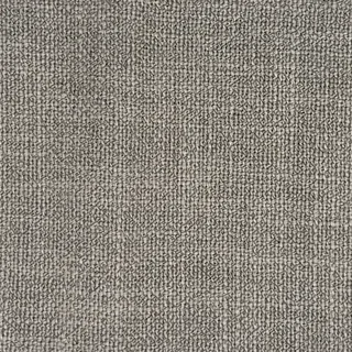 Salamanca Bark