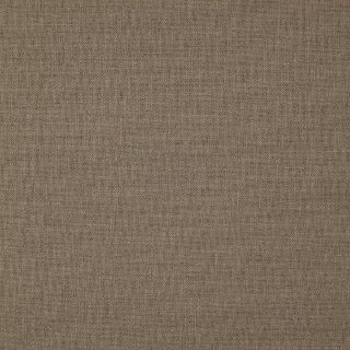 Loom Fossil